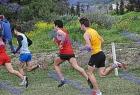 cross_0460