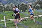 cross_0462