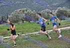 cross_0470