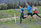 cross_0471