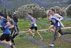 cross_0473