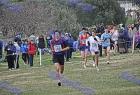 cross_0477