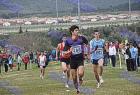 cross_0481