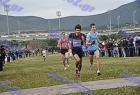 cross_0483