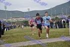cross_0484