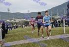 cross_0485