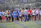 cross_0638