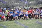 cross_0640