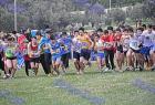 cross_0641