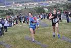 cross_0698