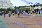 dias_sav_252