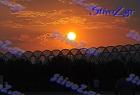 dias_sav_802