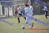 Atrom_Xania_217