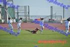 GRE-RUS_204