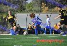 Kal_Aris_425