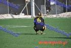 Kal_Aris_509