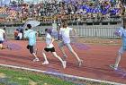 kalamata_341