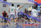 PGSS-DASAL_219