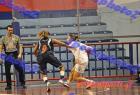 PGSS-DASAL_226