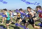 2012cross_120