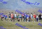 2012cross_121