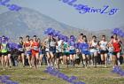 2012cross_122