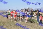2012cross_124