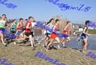 2012cross_126