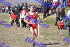 2012cross_130