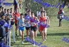 2012cross_131