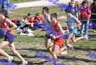 2012cross_133
