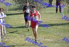 2012cross_141
