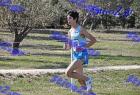 2012cross_142