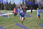 2012cross_150