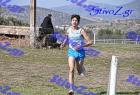 2012cross_171