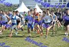 2012cross_211