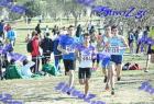 2012cross_222