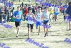 2012cross_223