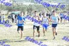 2012cross_224