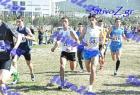 2012cross_228