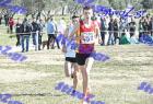 2012cross_230