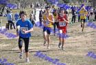2012cross_237