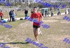 2012cross_240