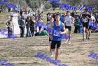2012cross_241