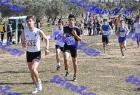2012cross_242