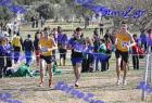 2012cross_245