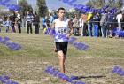 2012cross_260