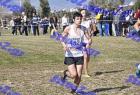 2012cross_264