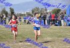 2012cross_265
