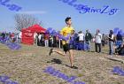2012cross_266